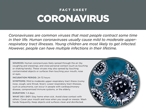 Мало коронавирус