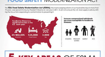 Critical Temperatures for Foodservice - Sani Professional. Infographic