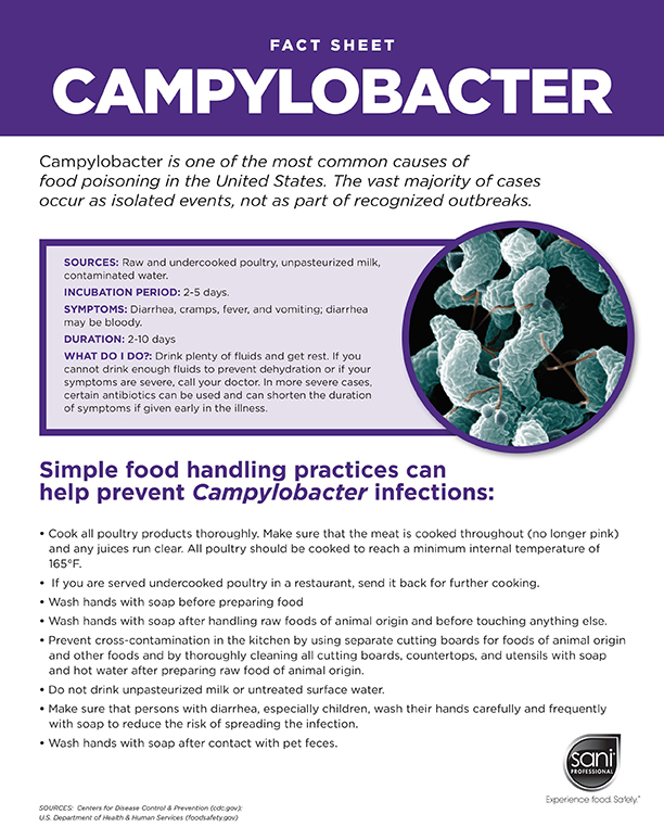 Fact Sheet Campylobacter Infographic