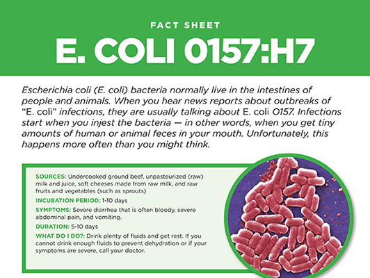 E Coli Fact Sheet All About E Coli 0757 H7 Sani Professional