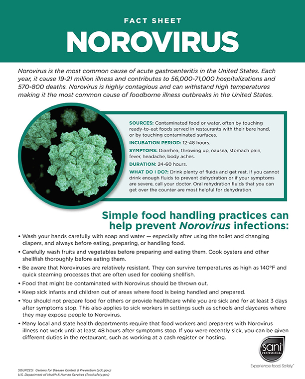 Image of Norovirus, which is highly contagious