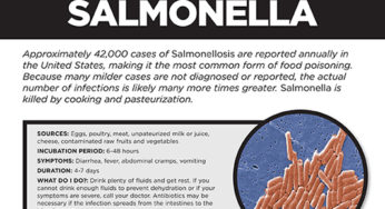 https://saniprofessional.com/wp-content/uploads/2018/08/fact-sheet-salmonella-Thumb-532x400-346x188.jpg