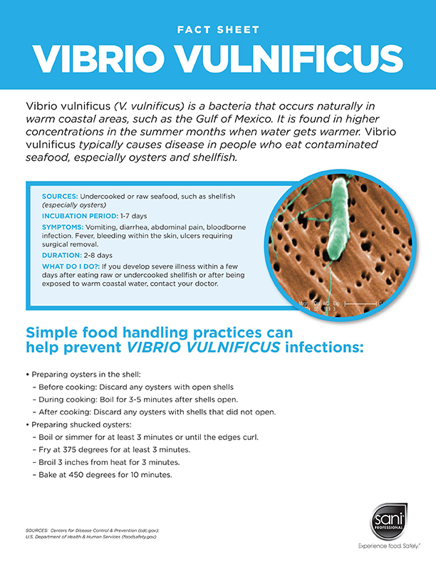 Fact Sheet About Vibrio Vulnificus