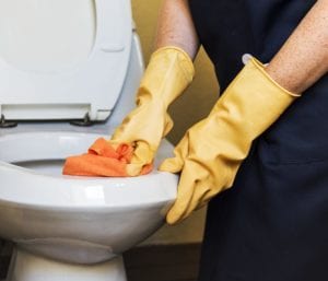 gloved hands cleaning a toilet